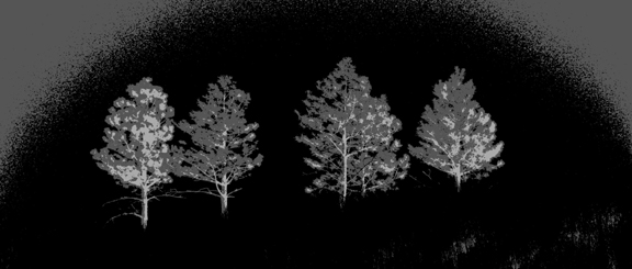 Trees_web.jpg